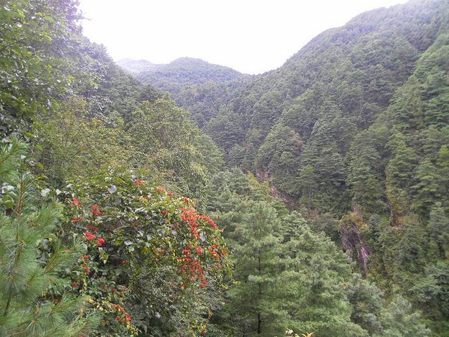 "一般游览苍山，可选择从中和索道或感通索道上到半山腰，沿玉带云游路步行欣赏沿途美景，到七龙女池中..._苍山"的评论图片