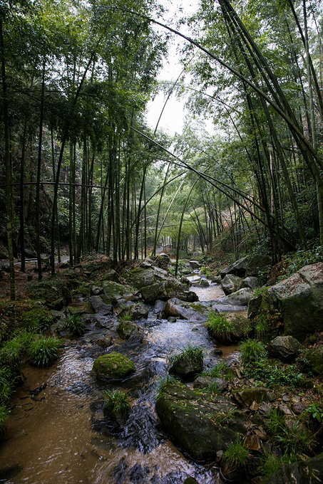 说说这次旅行图片