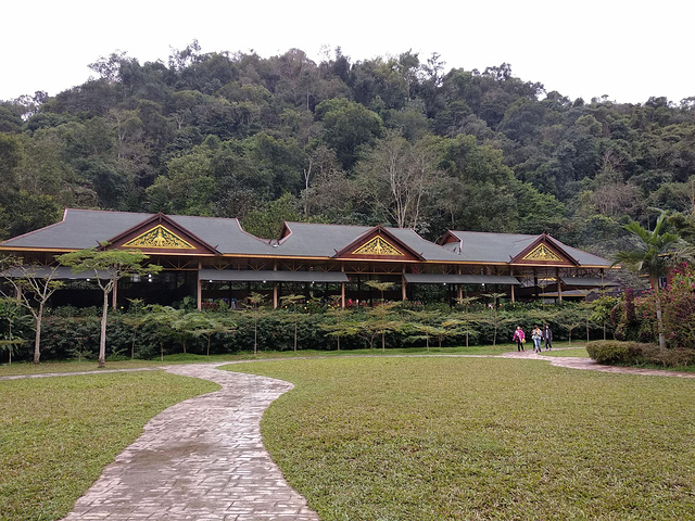 "野象谷热带雨林景区是一个值得自己多次去打卡的景区,在该景区