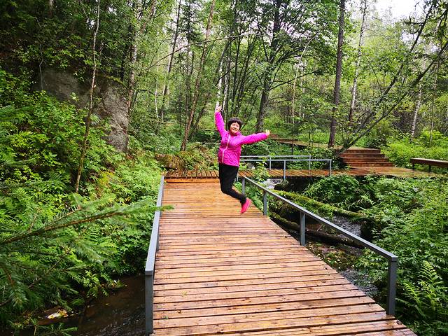 五营红松林海景区