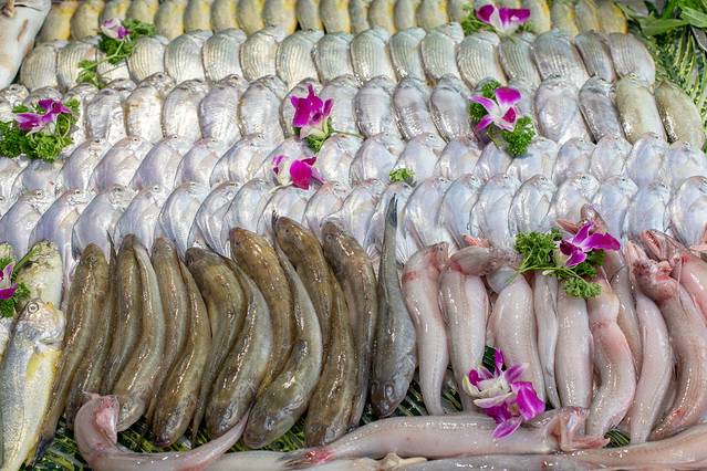 鑫阿强海鲜大排档·姜母鸭阿强煎蟹(中山路总店)