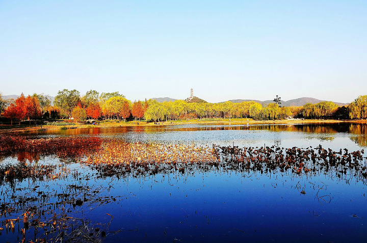"与颐和园相隔的还有一个北坞公园，位于海淀四季青镇东北部的玉泉山脚下，北坞公园所在地原是北京城乡..._北坞公园"的评论图片