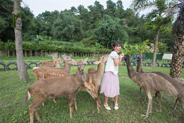 广东大虫生态动物乐园