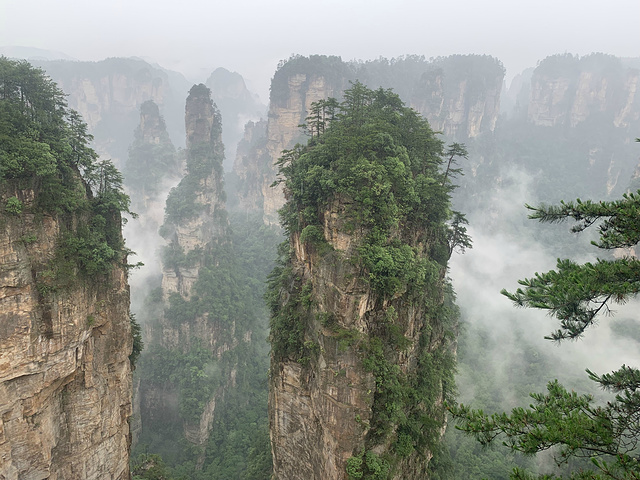 "景色在雨停的那几分钟还是非常美的。这里是张家界风景一绝，是大自然的一个奇迹。四周悬崖绝壁，水滴飞溅_袁家界景区"的评论图片