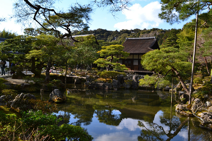 "银阁寺本名慈照寺，与金阁寺一样，同为临济宗相国寺派寺院，也是室町时代所建。银阁寺门票_银阁寺"的评论图片