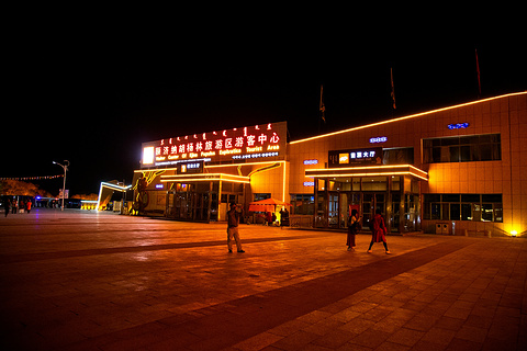 额济纳神树旅游景点攻略图