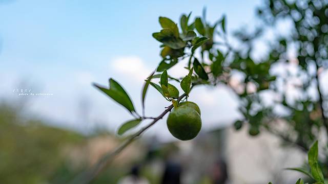 耘飨·村民食堂