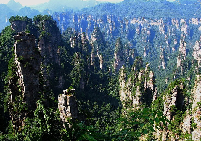 天子山 袁家界 杨家界图片