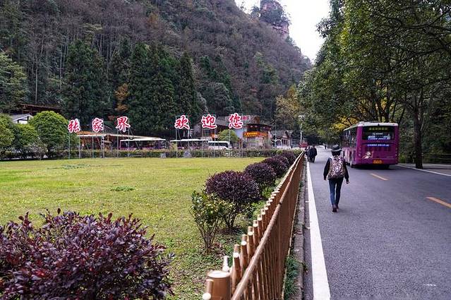 张家界国家森林公园-大氧吧广场