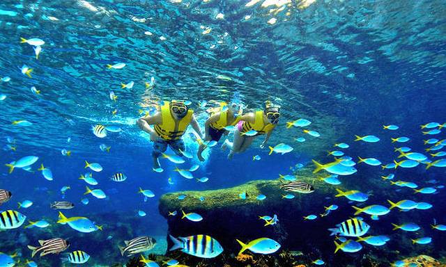 Wild Wild Wet水上乐园