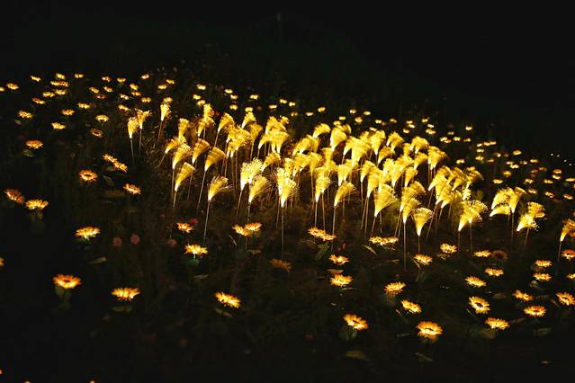 中国马镇舞马世界主题乐园