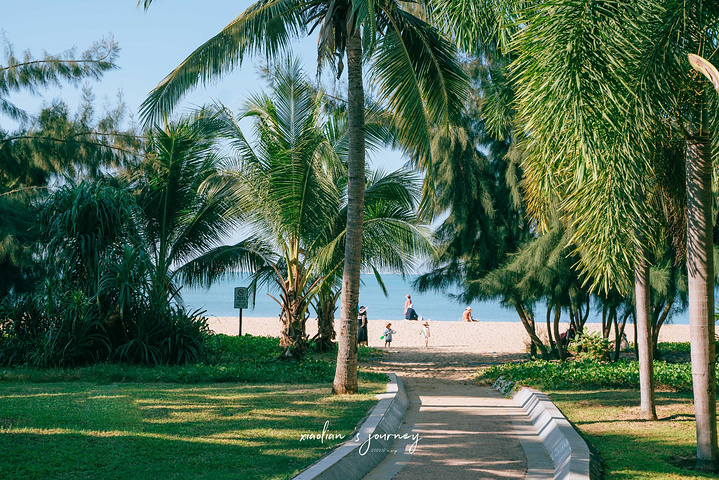 "这一段路的海边种满椰林，营造出大海、沙滩、椰林的美景，而路的另一侧则是众多的酒店、民居等等_椰梦长廊"的评论图片