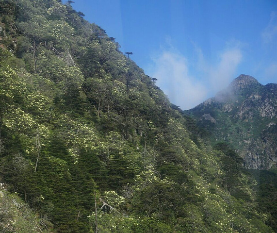 "苍山十九峰十八溪，我们去的就是最高的马龙峰。好在我们去的正好逢上苍山杜鹃开放的好时节_苍山"的评论图片