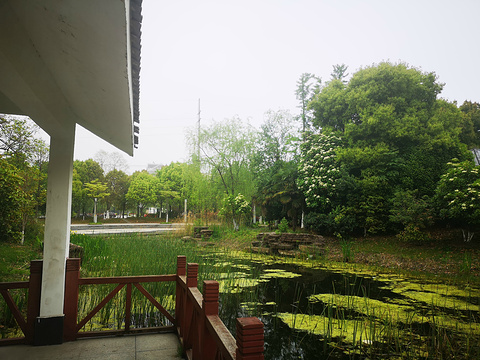 新华二村游园旅游景点图片
