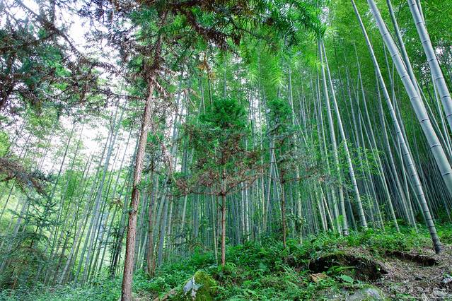 黄沙秘境大峡谷景区