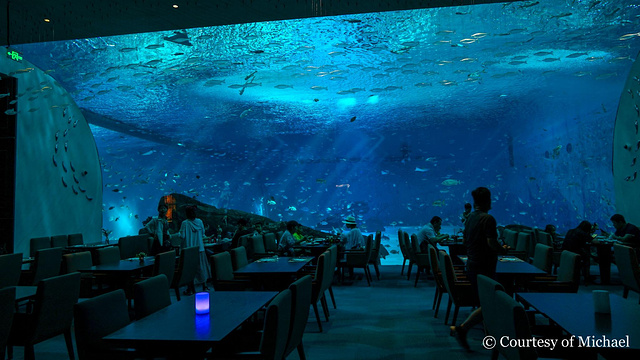 上海海昌海洋公园度假酒店·极地餐厅旅游景点图片