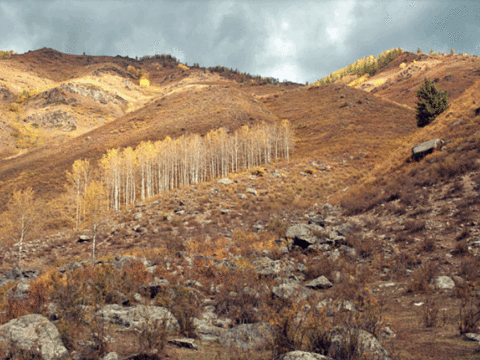 贾登峪国家森林公园旅游景点图片