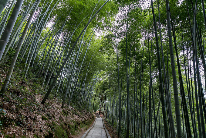 说说这次旅行图片