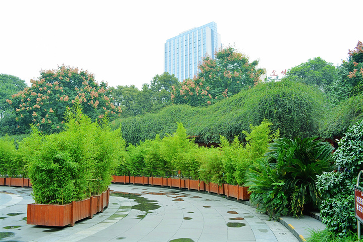 "人民公园_成都市人民公园"的评论图片
