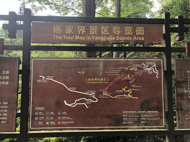 "杨家界本来是我们很期待的路线，但是由于乌龙寨关闭去不了，还是很遗憾。就步行看了看自然长城_杨家界景区"的评论图片