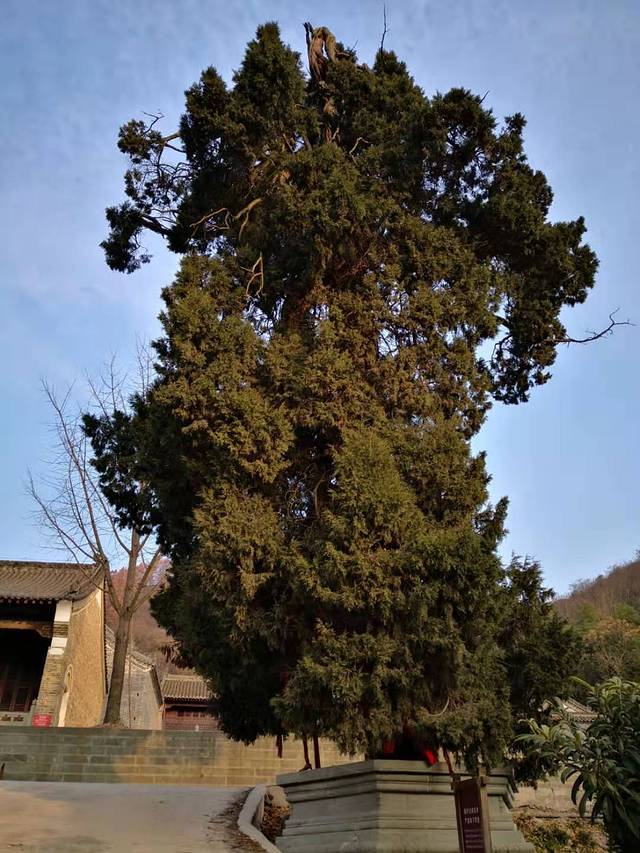 武当山风景区-冲虚庵