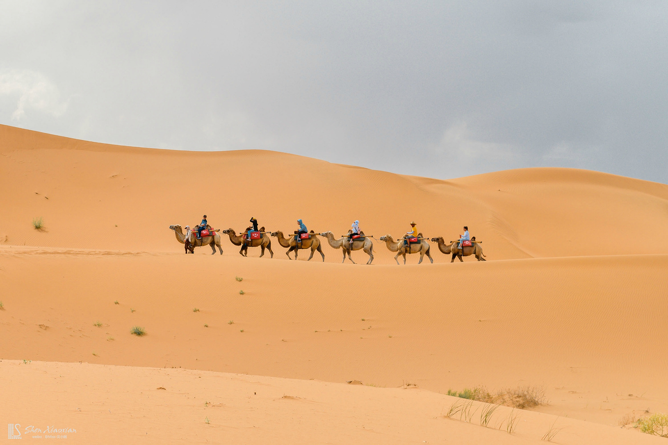 自驾宁夏,探索神秘的未知【首发】