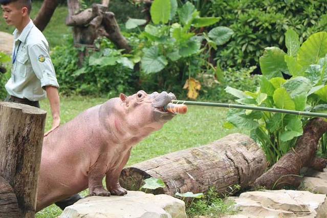 香港动植物公园