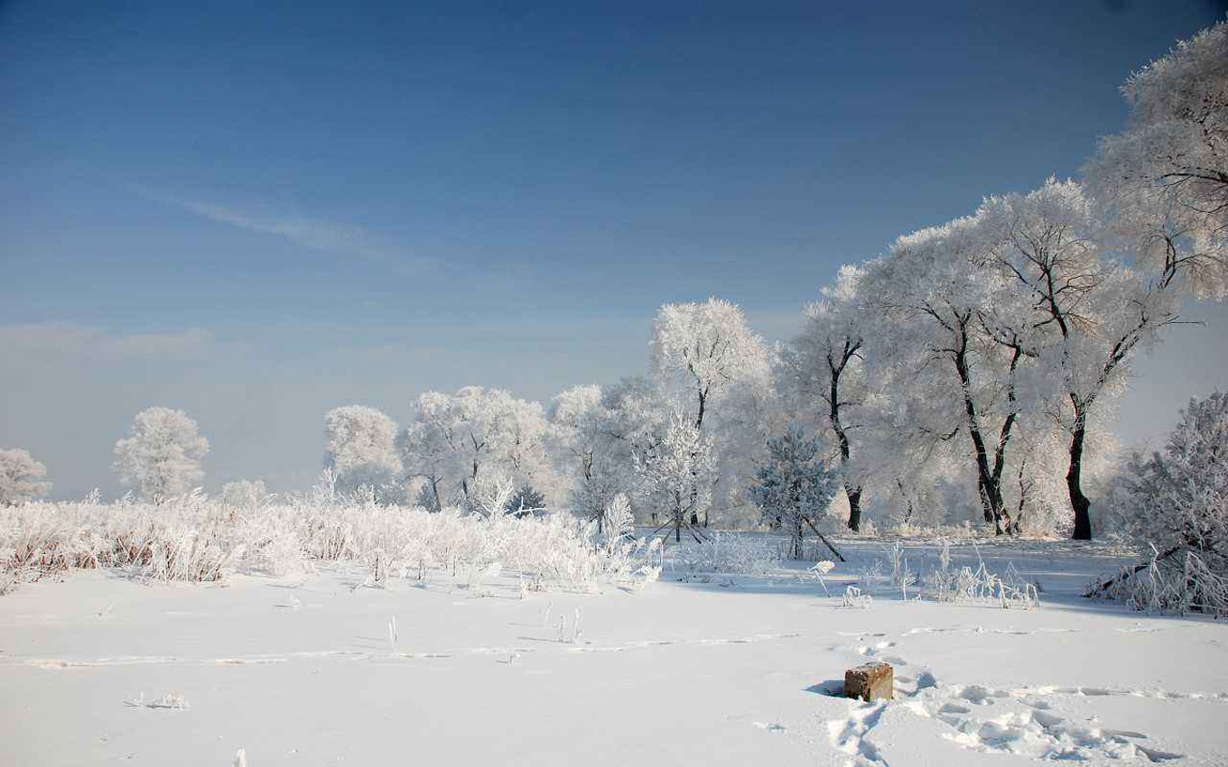 大兴安岭雪景图片,大兴安岭冬天的雪景,漠河雪景图片_大山谷图库