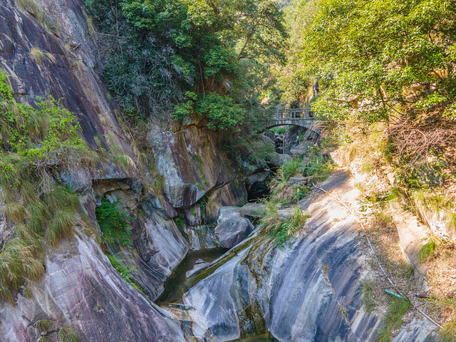 秀峰景区不高也不太大,植被覆盖率非常好,有山有水,非常适合慢慢的