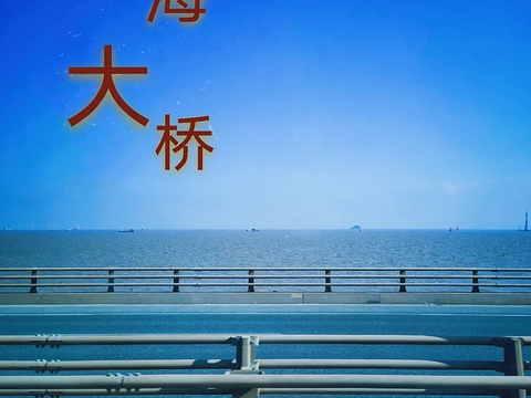 东海大桥旅游景点图片