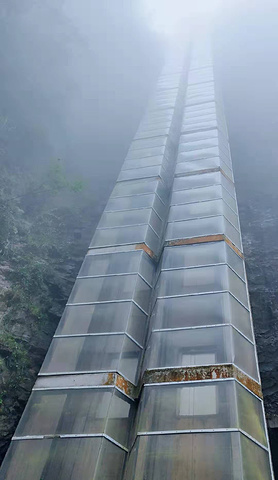 "✔️：打卡悬崖玻璃眺台，高280米，有点下雨，雾很大。喀斯特地貌，亚洲最大的天生桥群_武隆"的评论图片