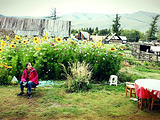 新疆旅游景點攻略圖片
