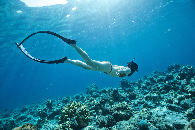 真实的马尔代夫视频 2ce5cc031e8c36825c564cbc51954724.jpg_r_680x453x95_3bc5a7ea.jpg