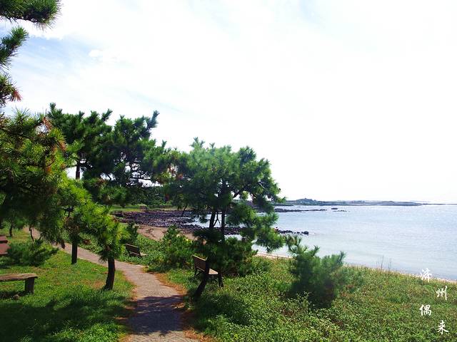 摹瑟浦港