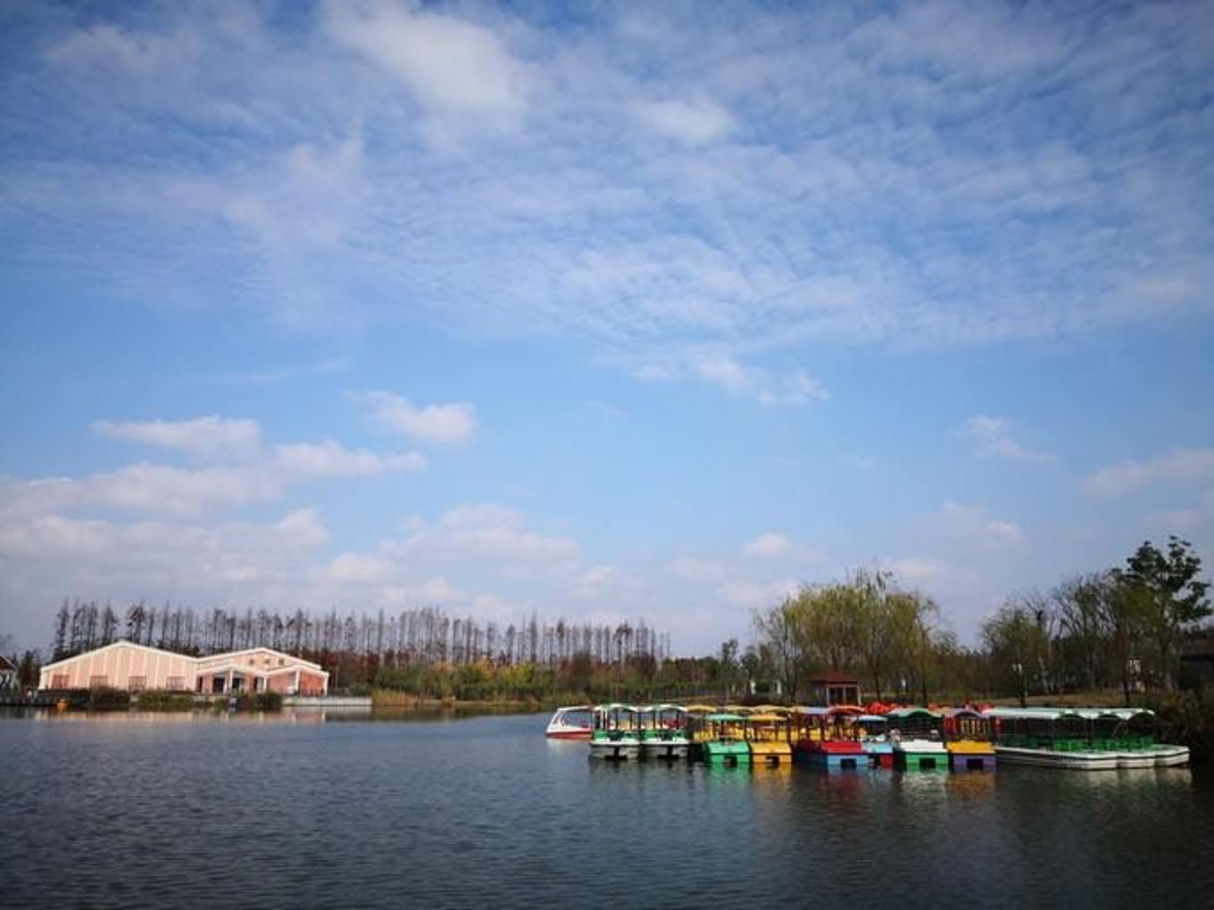 上海-崇明东滩湿地公园自驾一日往返 - 知乎