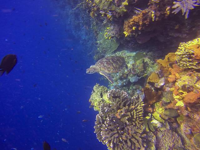 布纳肯国家公园