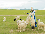 内蒙古旅游景点攻略图片