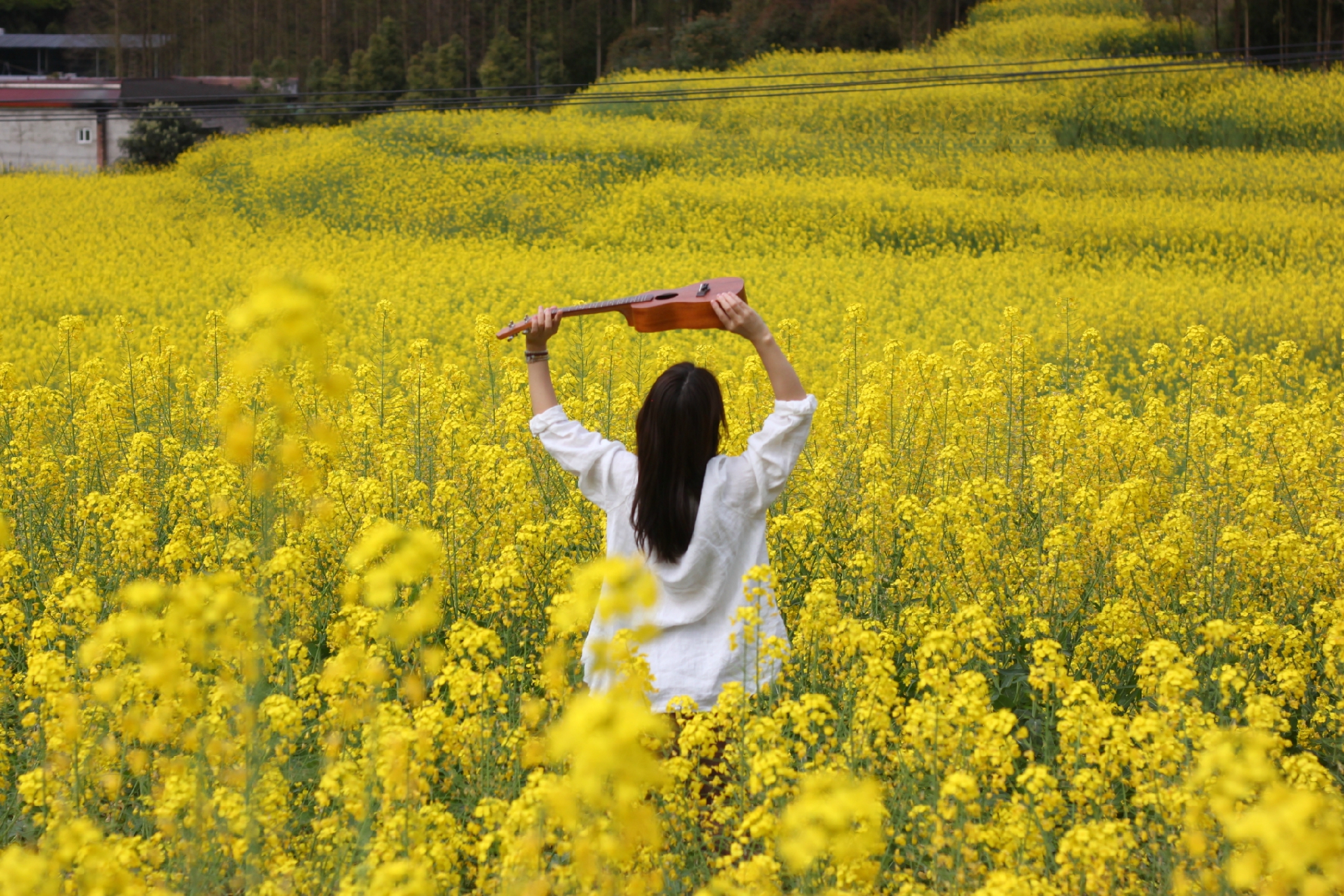 成都周边崇州的油菜花开啦，油菜花田里野餐，我特别喜欢