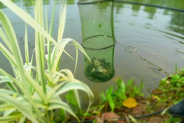 玛歌庄园火锅(五龙山店)