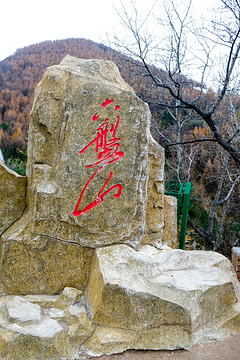 六盘山长征景区旅游景点攻略图