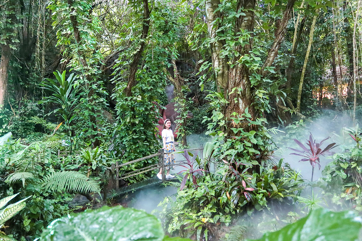 "游玩时长：建议1整天，如果时间允许的话可以玩2天，因为景区真的超级大，可以游览的区域非常多_呀诺达雨林文化旅游区"的评论图片