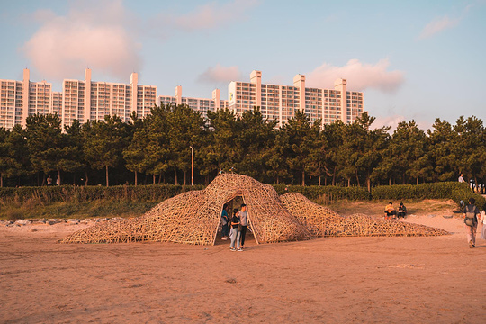 多大浦海水浴场旅游景点图片