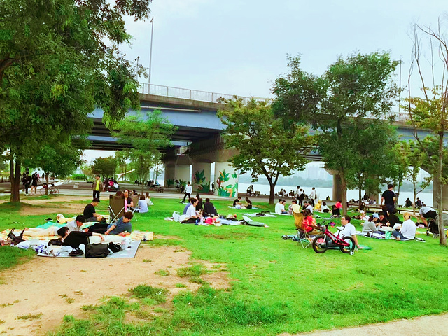 "就一定不要错过汝矣岛汉江公园，每到周末这里，都会聚集很多来这里露营的人，还有很多人，选择在这里野餐_汝矣岛"的评论图片