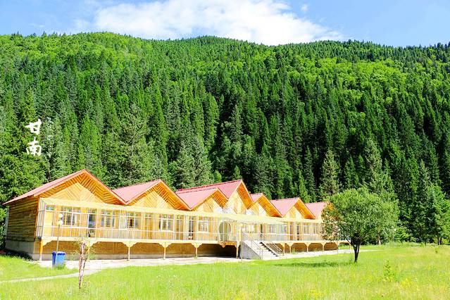 甘肃大峪国家森林公园