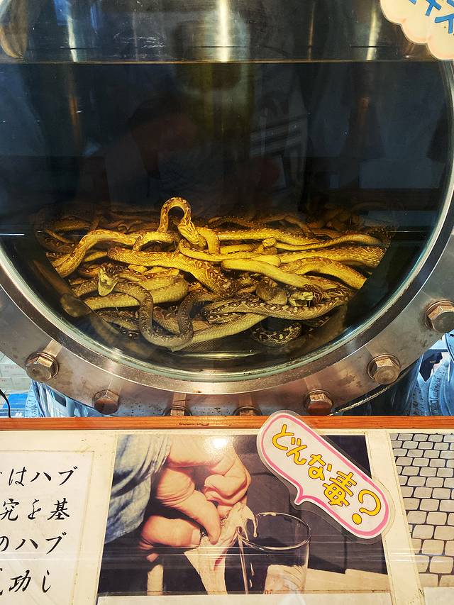 冲绳世界文化王国