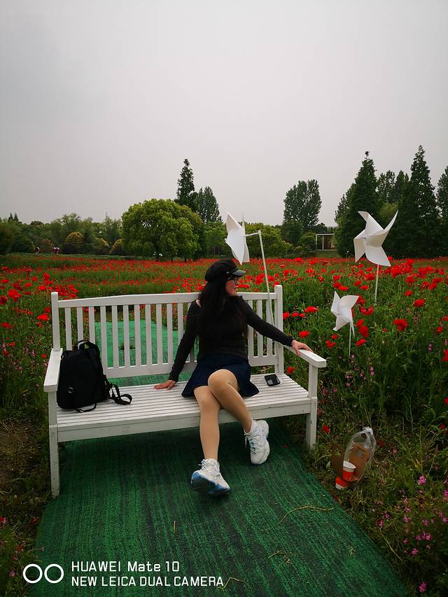 花开海上生态园