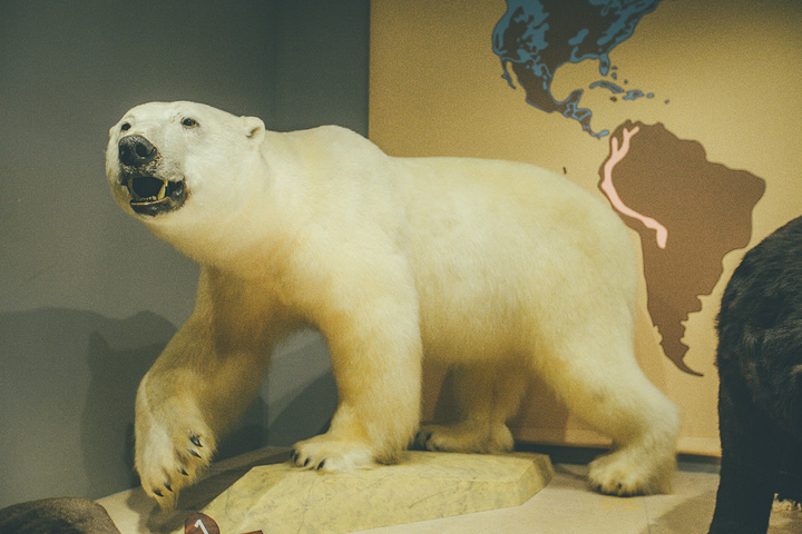 没想到这个博物馆这么受欢迎就连买门票也排起了长