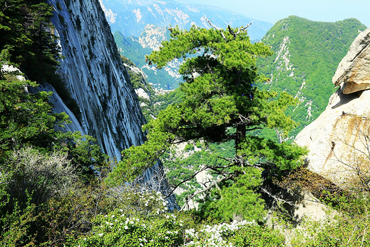 华山北峰索道旅游景点图片