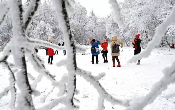 天门山国家森林公园图片