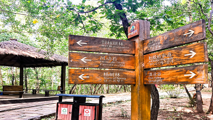 蚂蚁岭休息区